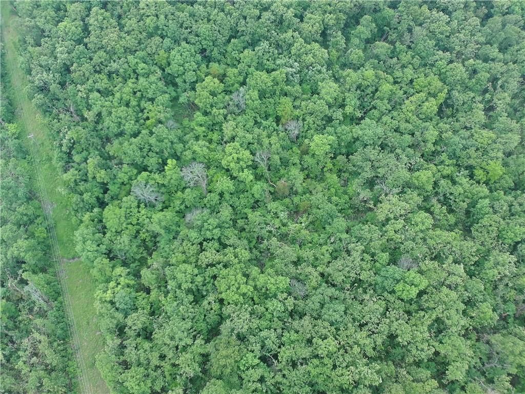 881 SE 1163 Private Road — photo 3