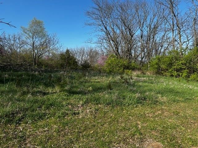 13448 Metropolitan Avenue — photo 5