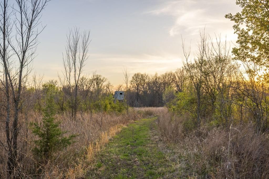 14310 E State Route A Highway — photo 76