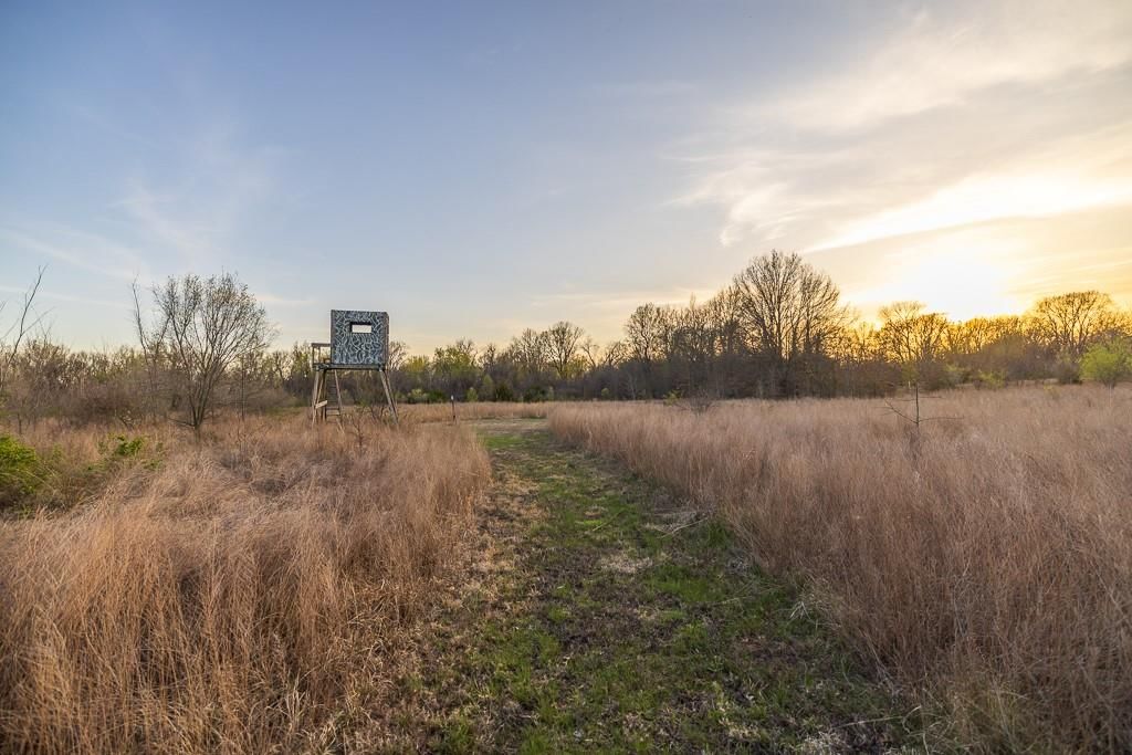 14310 E State Route A Highway — photo 77