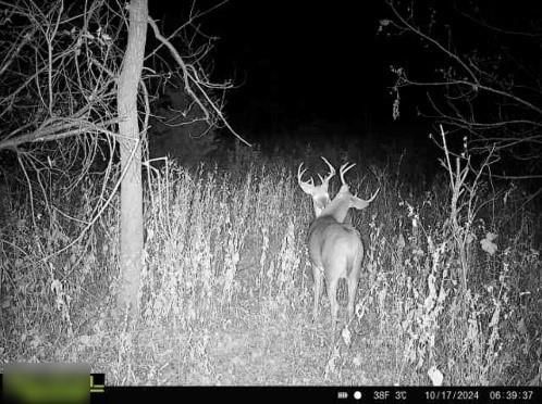 155th Street — photo 44