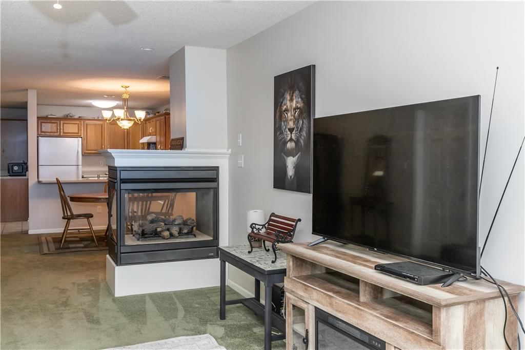 3919 S Willis Avenue — photo 6
