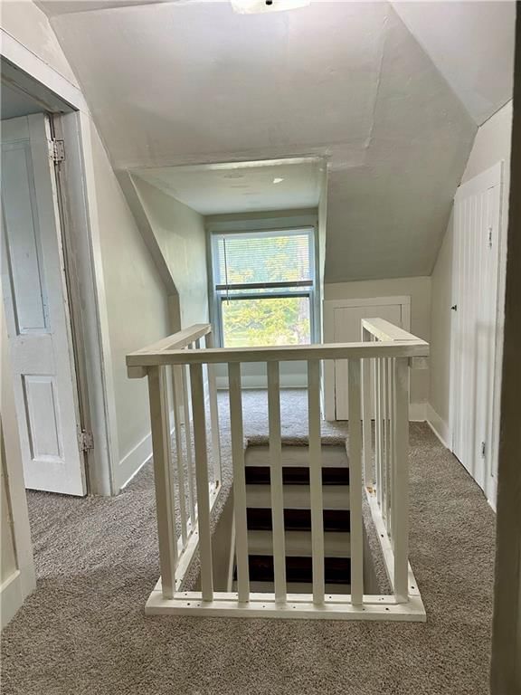 1325 S Cedar Street — photo 20