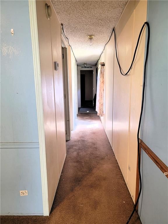 205 Cedar Street — photo 10