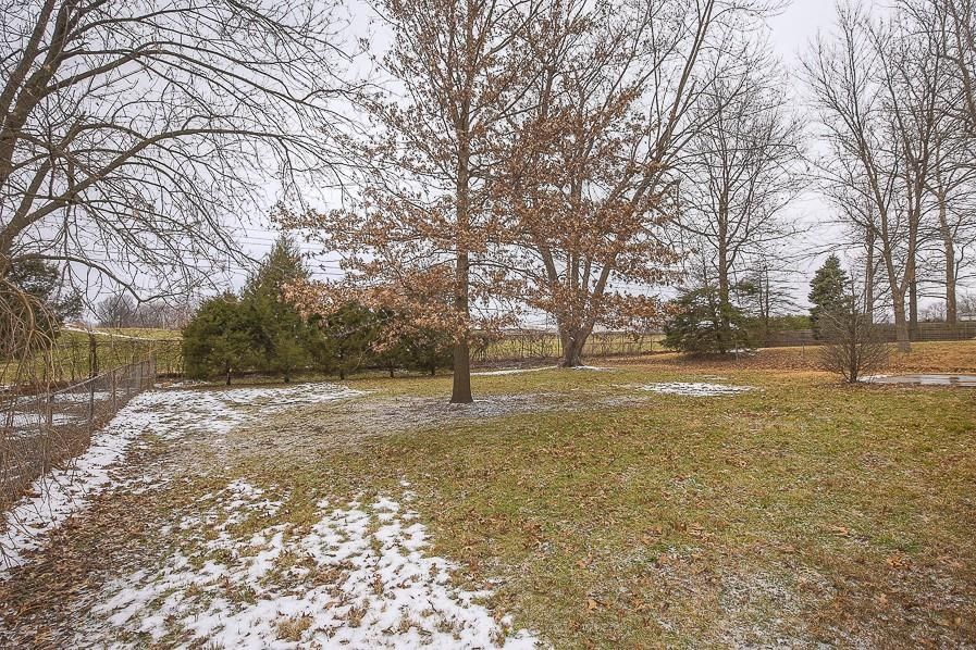 12704 Sycamore Avenue — photo 12