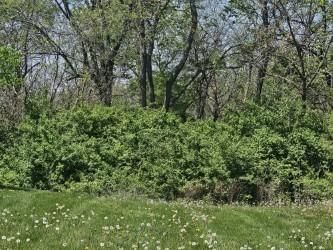452 Spring Avenue — photo 10