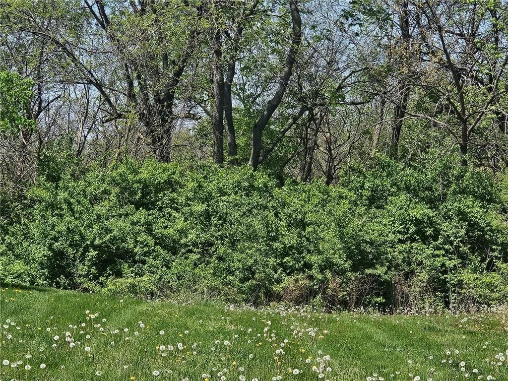 448 Spring Avenue — photo 15