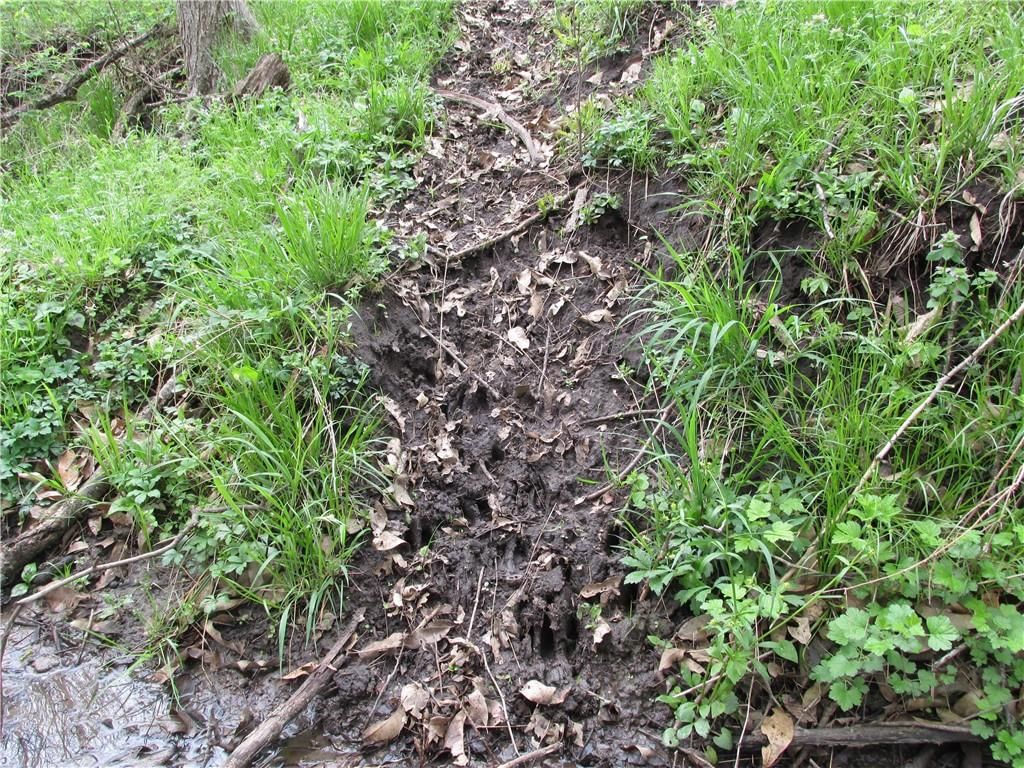 NE Hinchey Lane — photo 10