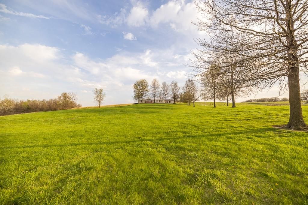 45501 E 176th Street — photo 98