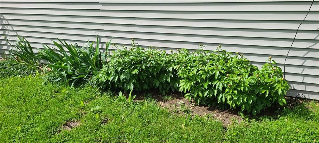 502 Benton Street — photo 17