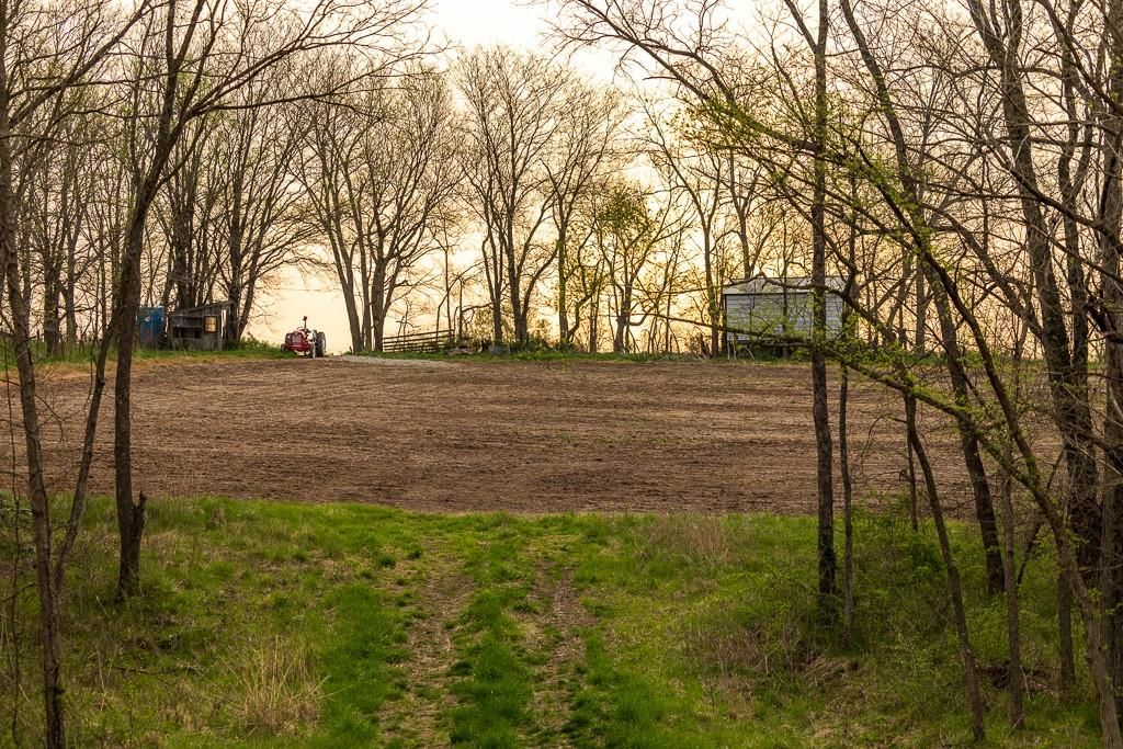11027 SE State Route DD Highway — photo 18