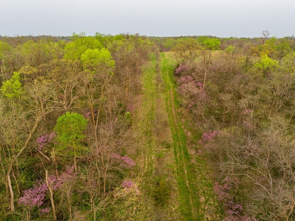 11027 SE State Route DD Highway — photo 29
