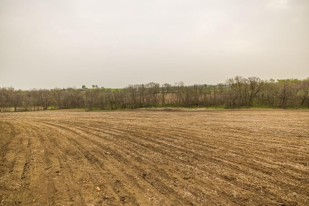 11027 SE State Route DD Highway — photo 38