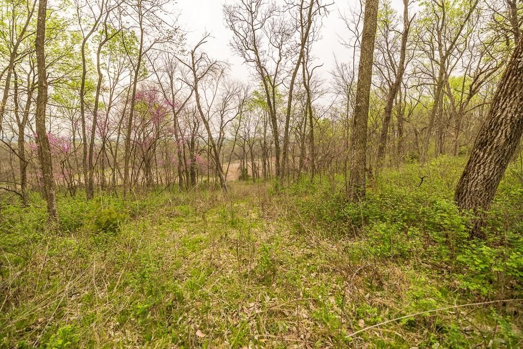 11027 SE State Route DD Highway — photo 41