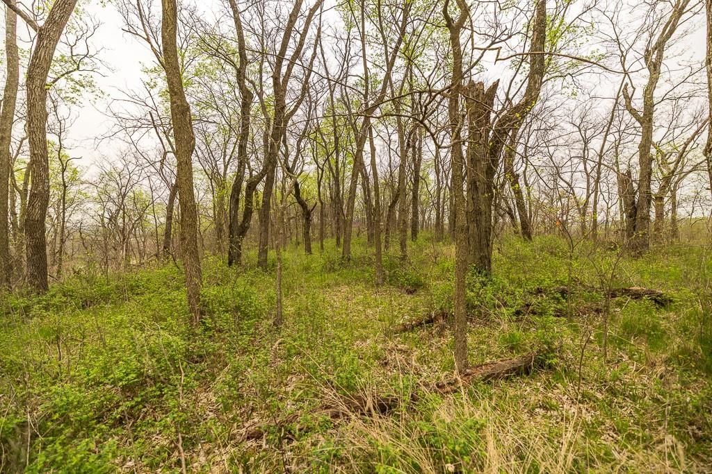 11027 SE State Route DD Highway — photo 42