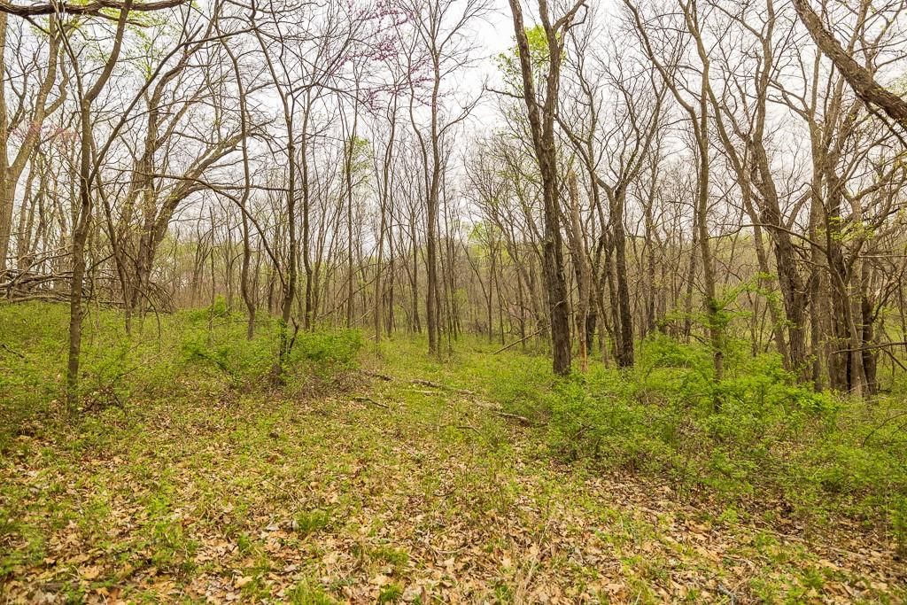11027 SE State Route DD Highway — photo 45