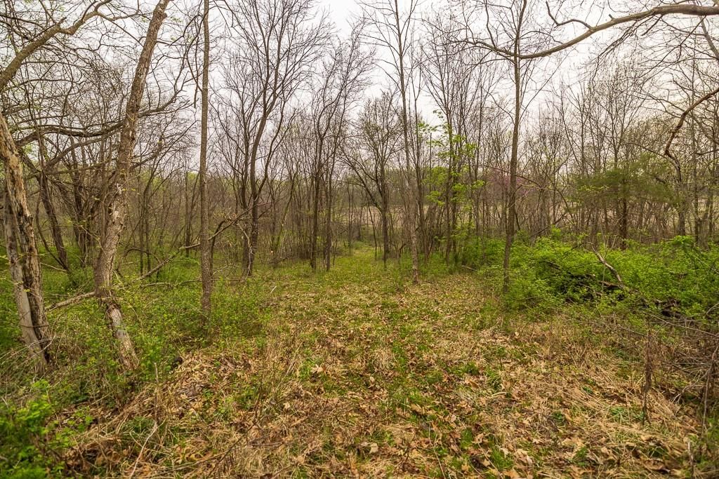 11027 SE State Route DD Highway — photo 46