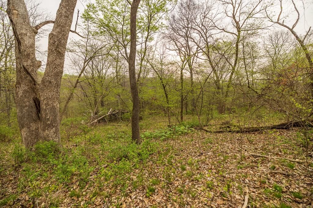 11027 SE State Route DD Highway — photo 47