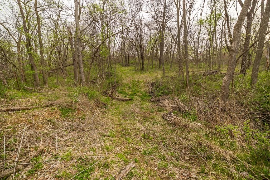 11027 SE State Route DD Highway — photo 48