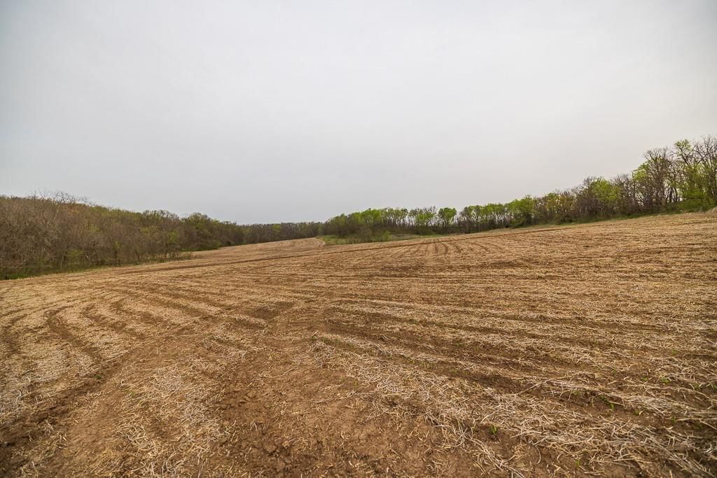 11027 SE State Route DD Highway — photo 53