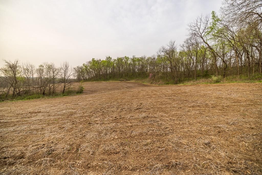 11027 SE State Route DD Highway — photo 58