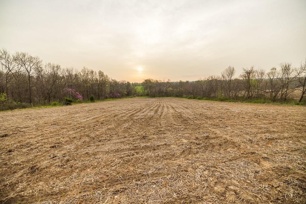 11027 SE State Route DD Highway — photo 60
