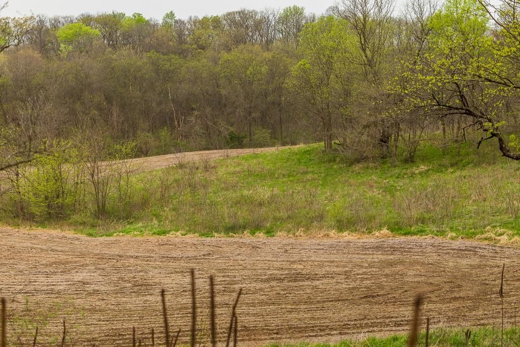 11027 SE State Route DD Highway — photo 66