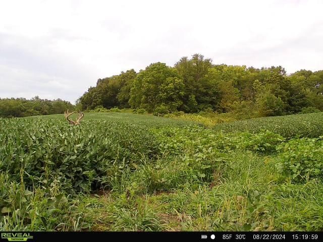 11027 SE State Route DD Highway — photo 75