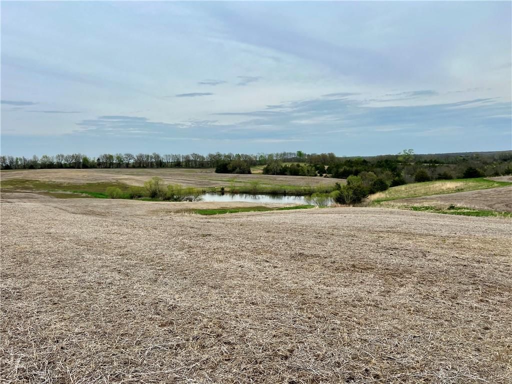 21696 Hwy DD Lot 1 Highway — photo 15