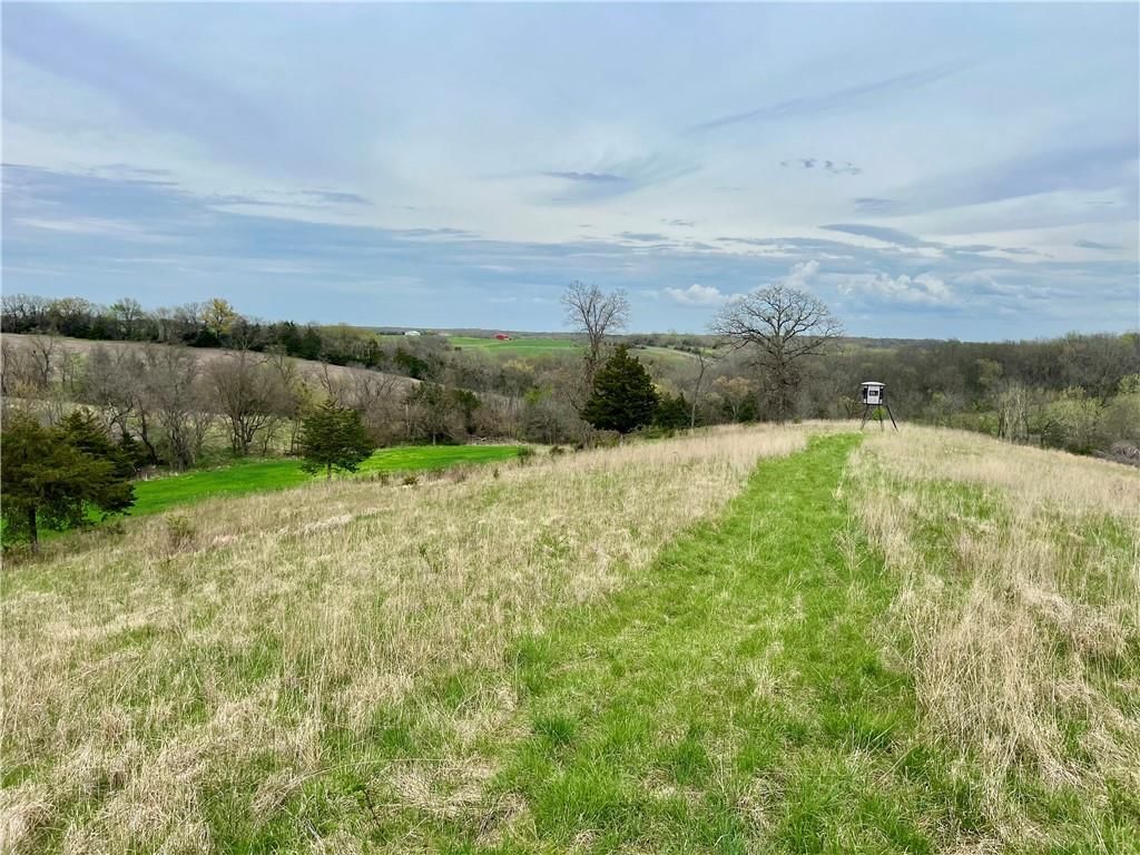 21696 Hwy DD Lot 1 Highway — photo 16