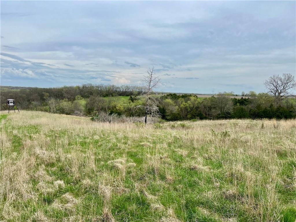 21696 Hwy DD Lot 1 Highway — photo 17