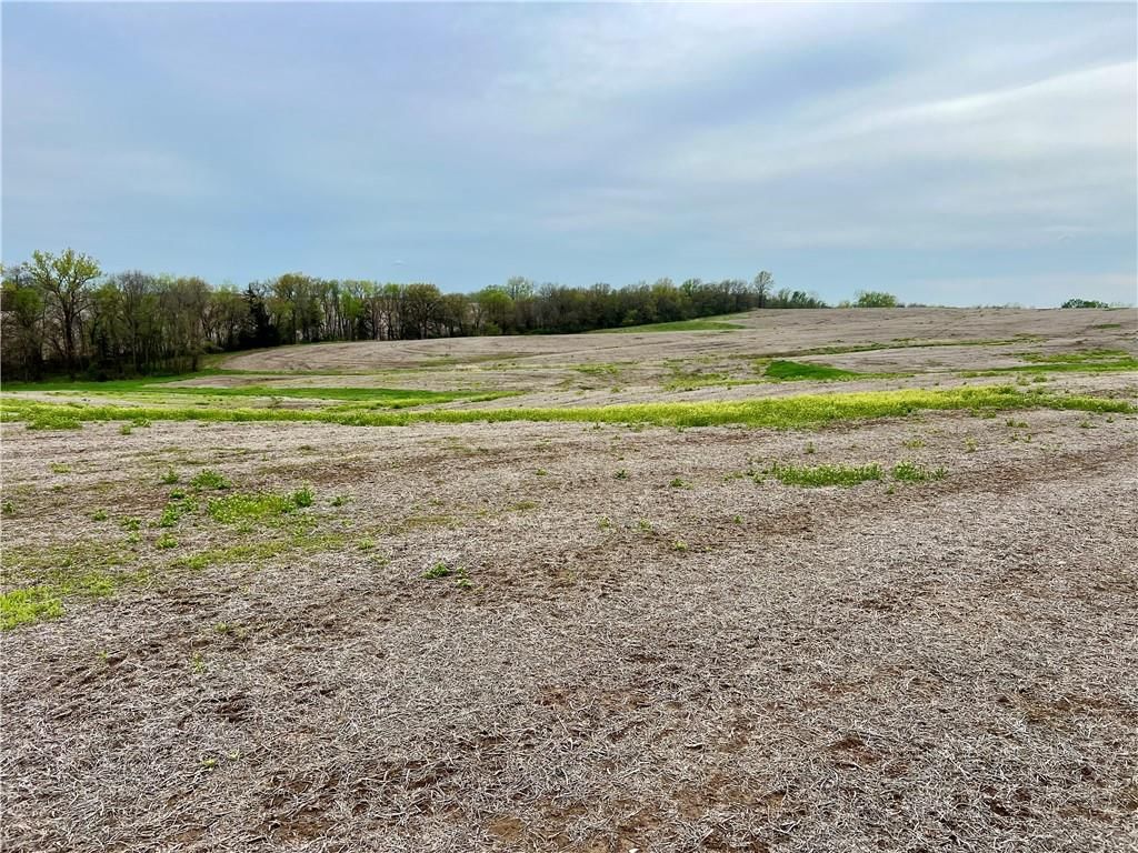 21696 Hwy DD Lot 1 Highway — photo 23