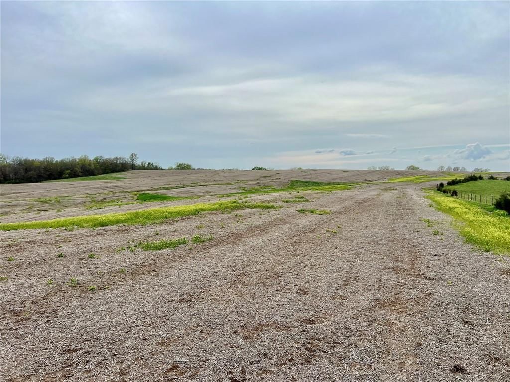 21696 Hwy DD Lot 1 Highway — photo 24