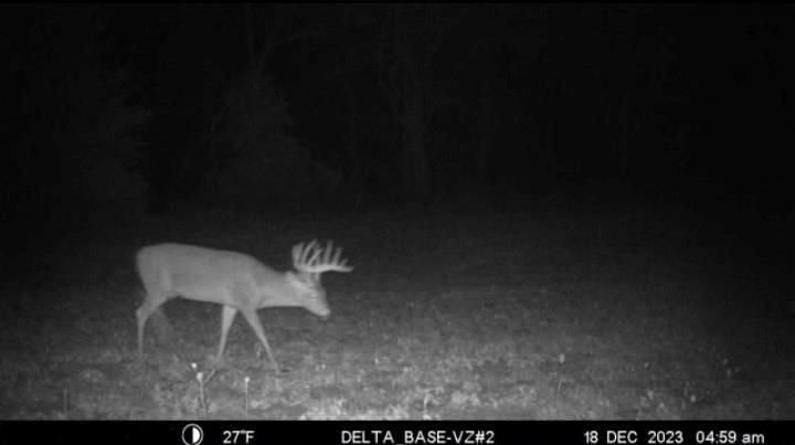 21696 Hwy DD Lot 1 Highway — photo 29