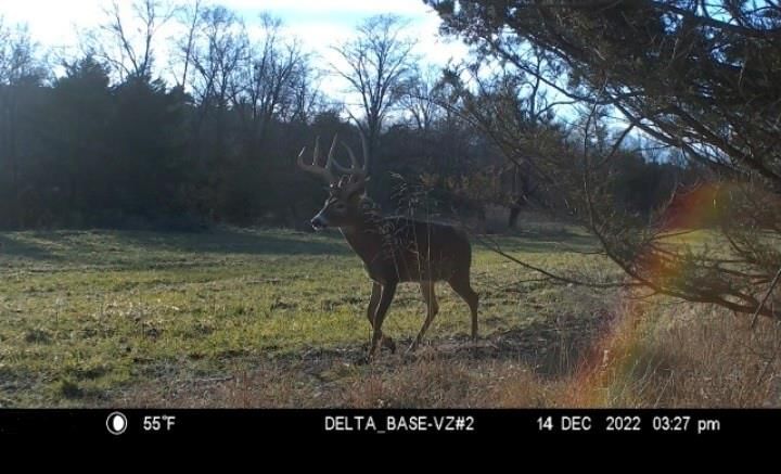 21696 Hwy DD Lot 1 Highway — photo 30