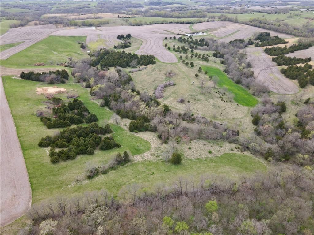 21696 Hwy DD Lot 1 Highway — photo 8