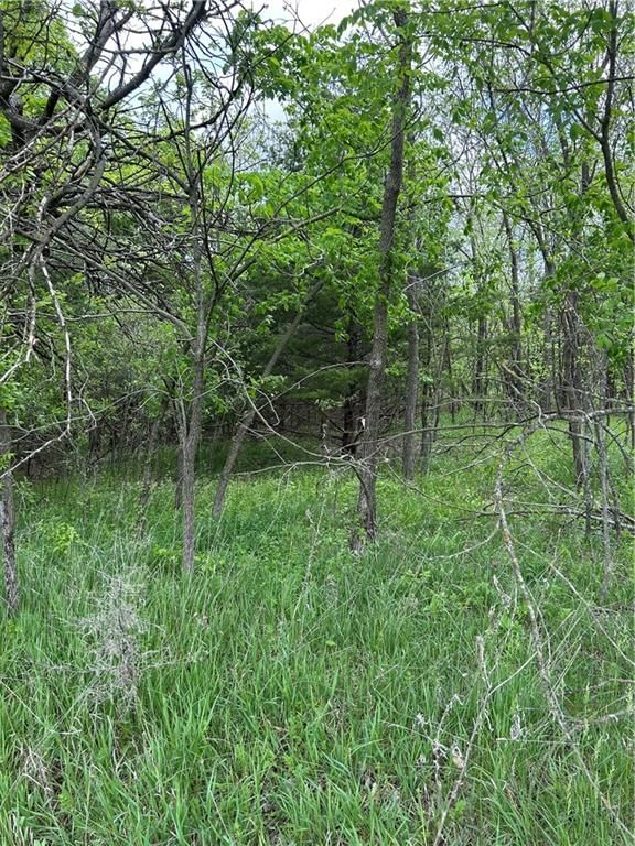 18716 S Stanley Road — photo 5