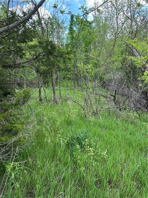 18716 S Stanley Road — photo 6