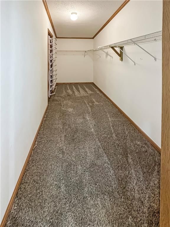 12448 Crestview Drive — photo 25