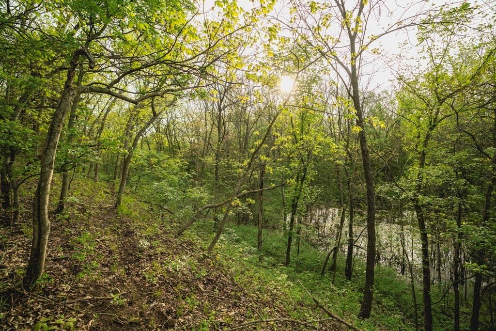 23249 NW Mitchell Road — photo 38