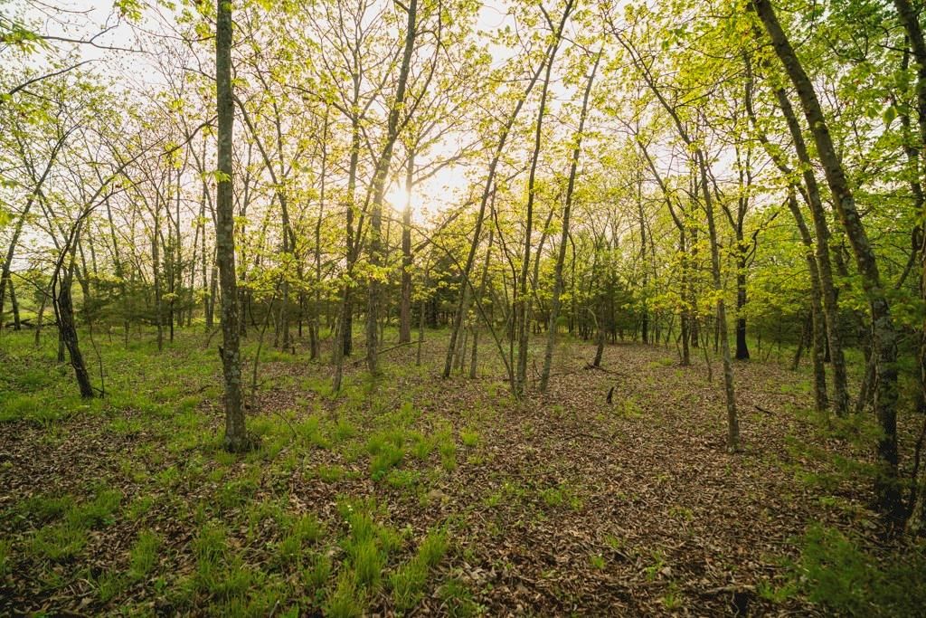 23249 NW Mitchell Road — photo 44