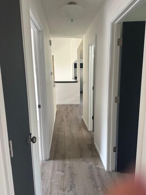 7037 N Holmes Street — photo 15