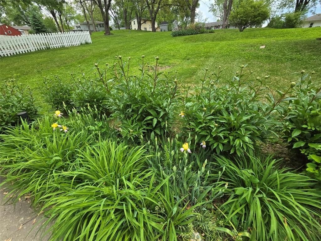 2218 Millwood Drive — photo 47