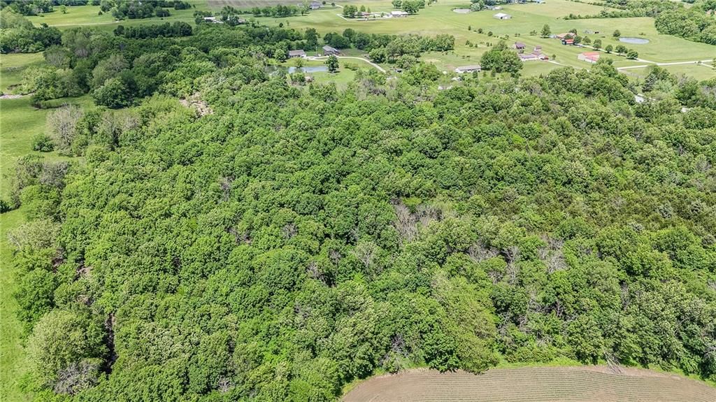 2401 NW County Road 11662 Road — photo 31