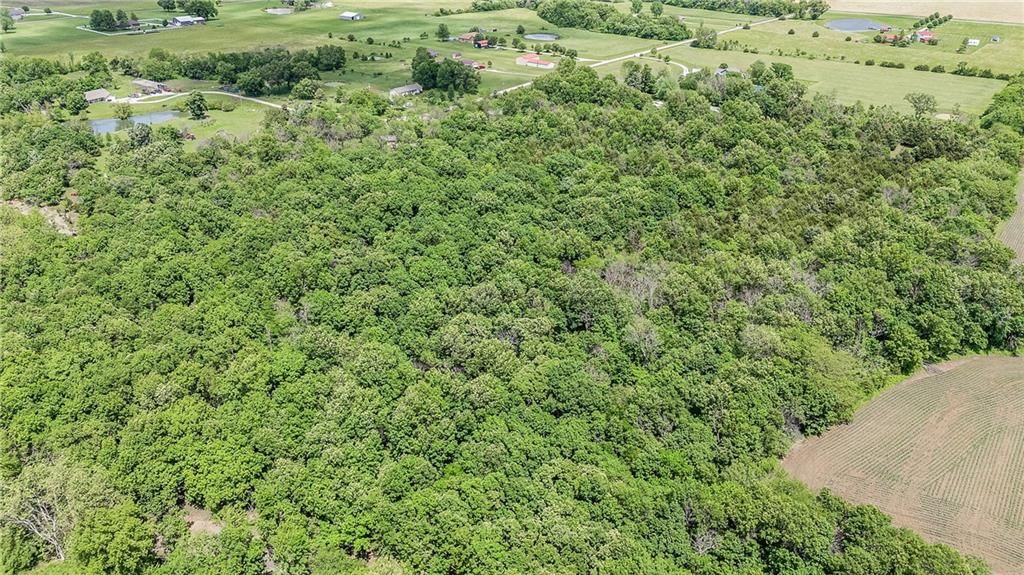 2401 NW County Road 11662 Road — photo 32