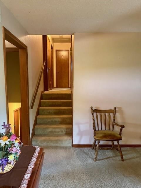 14 Circle Lane — photo 24