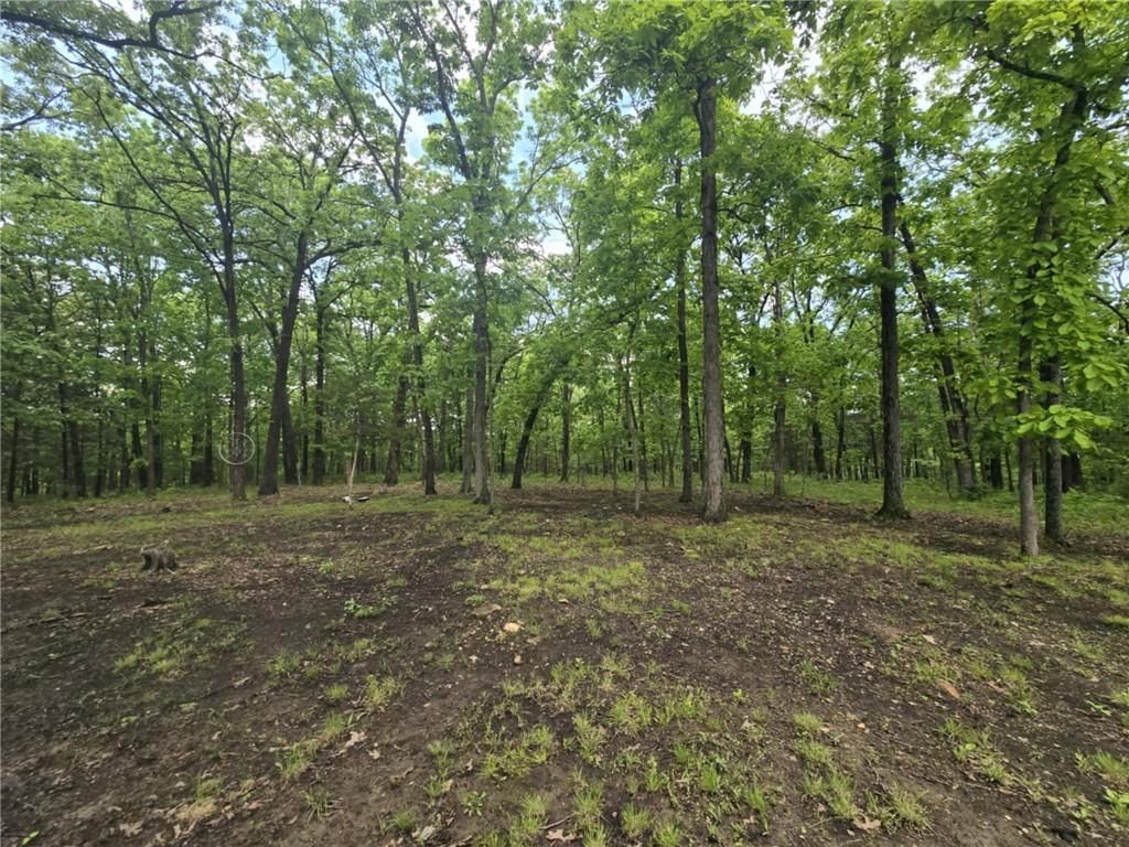 27349 Karrs Park Avenue — photo 25