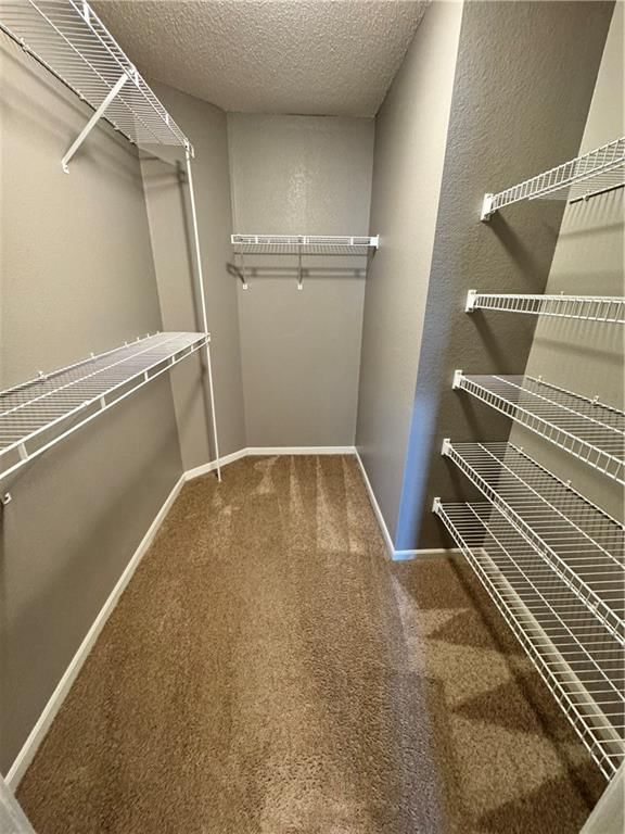 5562 Moonlight Meadow Drive — photo 16