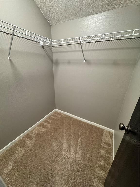5562 Moonlight Meadow Drive — photo 20