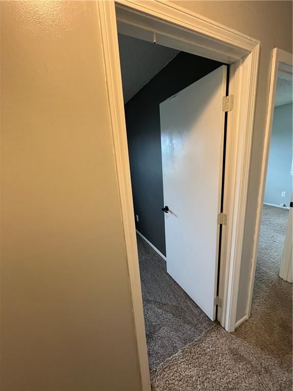 1424 S Olive Street — photo 17